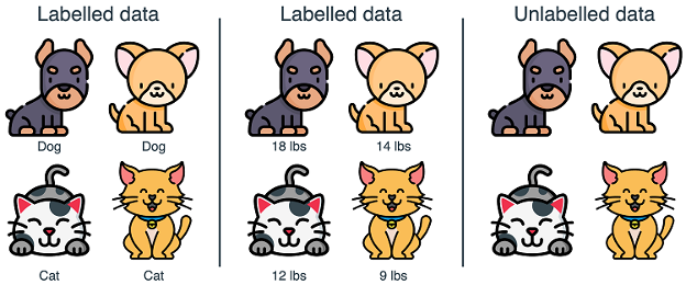 داده برچسب‌دار یا Labeled Data