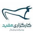 اساتید کارگزاری مفید،