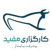 کلاسهای آنلاین استاد اساتید کارگزاری مفید